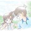 shinran2811