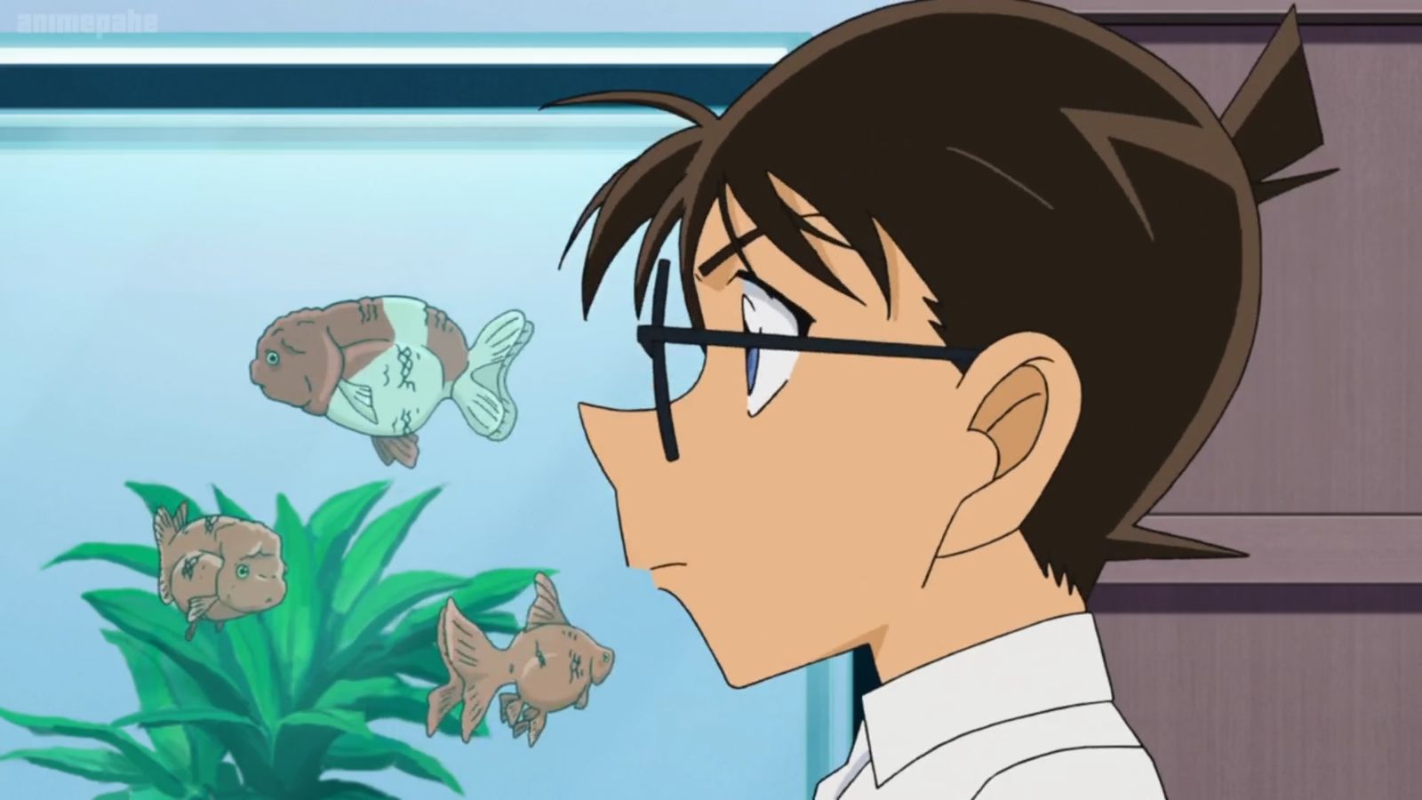 File:TV Episode 977.jpg - Detective Conan Wiki