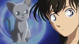 The Love Of Lawyer Eri Kisaki/Gallery - Detective Conan Wiki